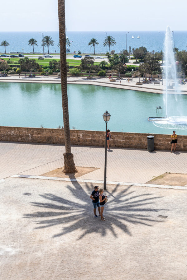 strike a pose by camille massida photography